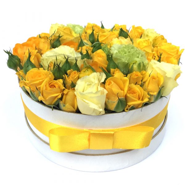 Arioso Yellow Round Flower Box