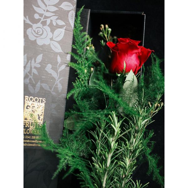Roots, Fruits and Flowers Red Rose Gift Box With Specialty Chocolate From Chocolate Tree